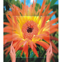 anti-reflective glass